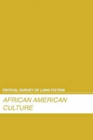 Könyv African American Novelists 