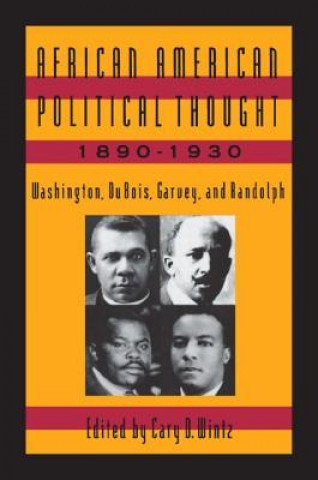 Książka African American Political Thought, 1890-1930 Cary D. Wintz