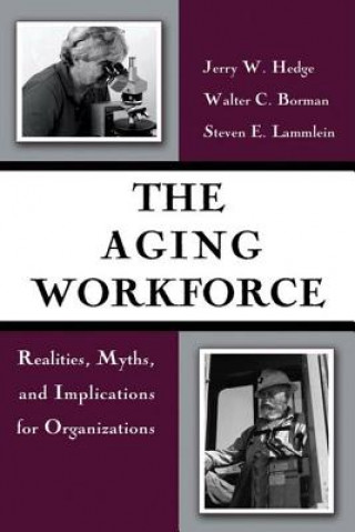 Knjiga Aging Workforce Steven E. Lammlein