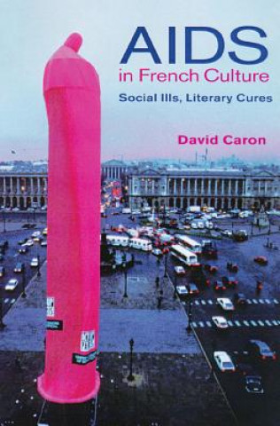 Książka AIDS in French Culture David Caron