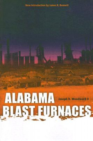 Книга Alabama Blast Furnaces Joseph H. Woodward