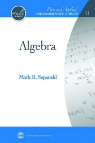Knjiga Algebra Mark R Sepanski
