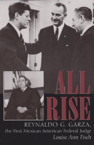 Buch All Rise Larry Fisch