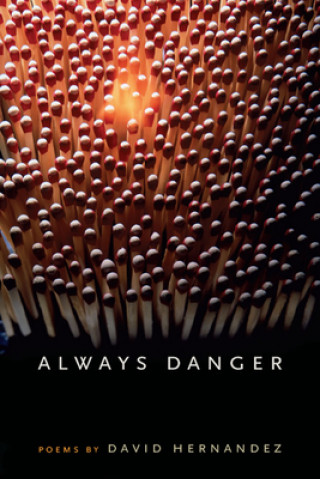 Kniha Always Danger David Hernandez