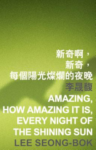 Knjiga Amazing, How Amazing It Is, Every Night of the Shining Sun Lee Lee