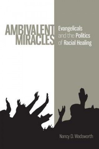 Knjiga Ambivalent Miracles Nancy D. Wadsworth