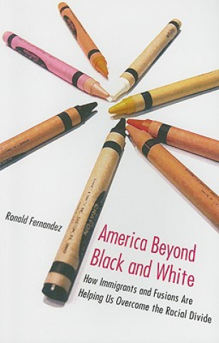 Buch America Beyond Black and White Ronald Fernandez