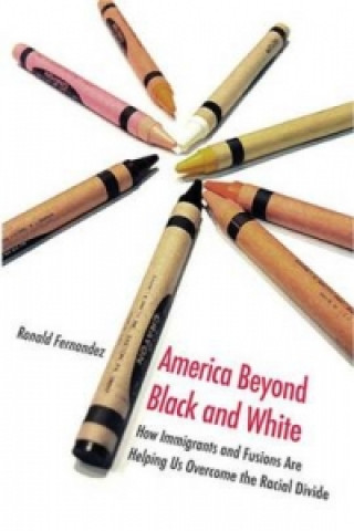 Buch America Beyond Black and White Ronald Fernandez