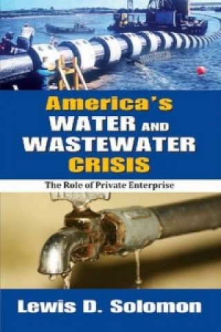 Knjiga America's Water and Wastewater Crisis Lewis D. Soloman