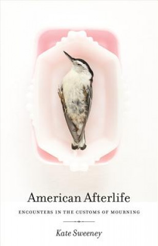 Livre American Afterlife Kate Sweeney