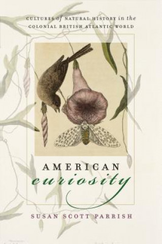 Kniha American Curiosity Susan Scott Parrish