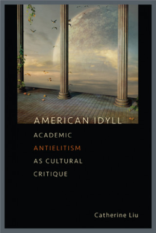 Book American Idyll Catherine Liu