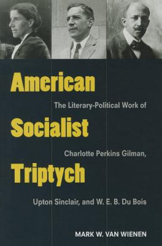 Buch American Socialist Triptych Mark W.Van Wienen