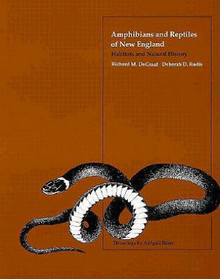 Książka Amphibians and Reptiles of New England Gretchia M. Witman