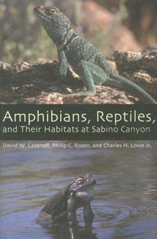 Kniha Amphibians, Reptiles, and Their Habitats at Sabino Canyon Charles H. Lowe