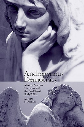 Buch Androgynous Democracy Aaron Shaheen