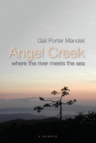 Książka Angel Creek Gail Porter Mandell