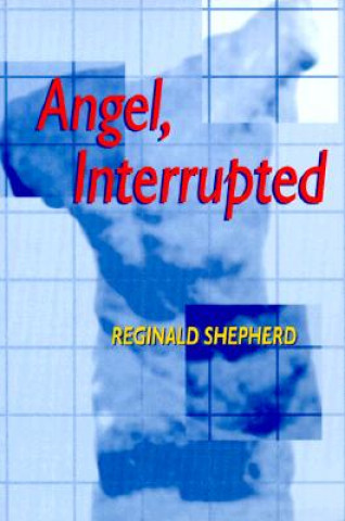 Knjiga Angel Interrupted Reginald Shepherd
