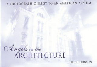 Kniha Angels in the Architecture Heidi Johnson