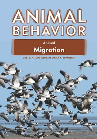 Knjiga Animal Migration Sheila K. Schueller