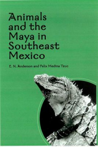 Książka ANIMALS AND THE MAYA IN SOUTHEAST MEXICO Felix Medina Tzuc