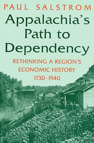 Buch Appalachia's Path to Dependency Paul Salstrom