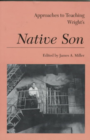 Kniha Approaches to Teaching Wright's Native Son 