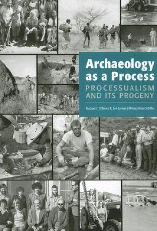 Buch Archaeology as a Process Michael Brian Schiffer