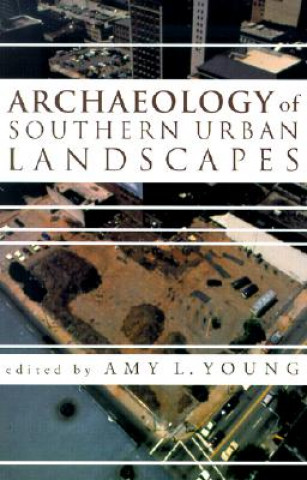Kniha Archaeology of Southern Urban Landscapes Amy L. Young