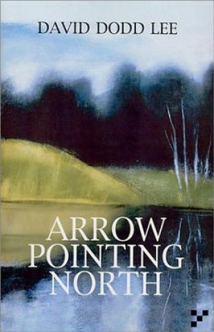 Buch Arrow Pointing North David Dodd Lee