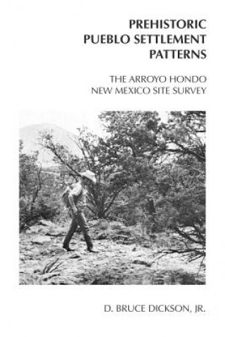 Carte Arroyo Hondo Site Survey D.Bruce Dickson