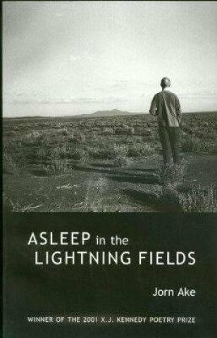 Kniha Asleep in the Lightning Fields Jorn Ake