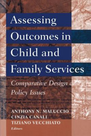 Kniha Assessing Outcomes in Child and Family Services Anthony N. Maluccio