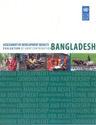 Kniha Assessment of development results United Nations Development Programme