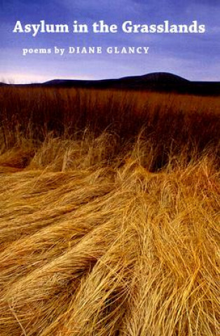 Kniha Asylum in the Grasslands Diane Glancy