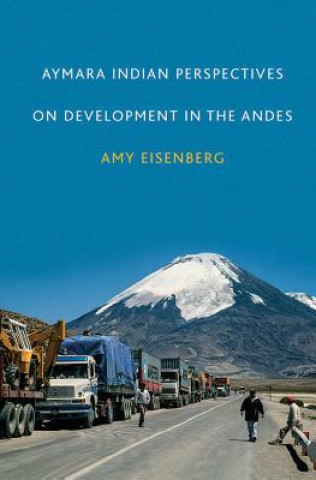 Könyv Aymara Indian Perspectives on Development in the Andes Amy Eisenberg