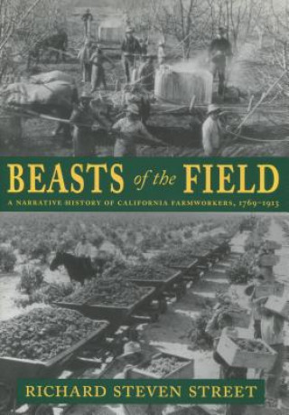 Buch Beasts of the Field Richard Street