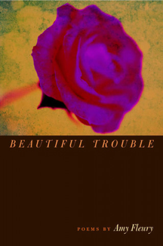 Kniha Beautiful Trouble Amy Fleury