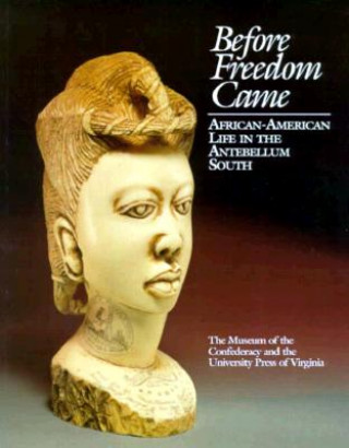 Kniha Before Freedom Came Kim S. Rice