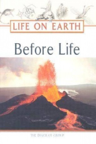 Boek Before Life Diagram Group