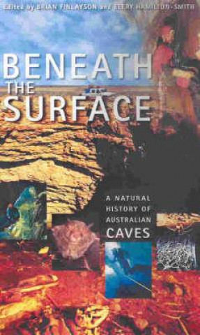 Kniha Beneath the Surface Elery Hamilton-Smith
