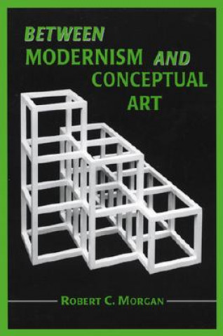 Kniha Between Modernism and Conceptual Art Robert C. Morgan