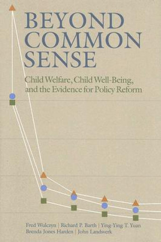 Kniha Beyond Common Sense Y.Y.T. Yuan