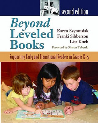Kniha Beyond Leveled Books Lisa Koch