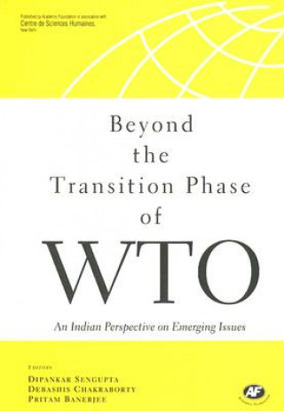 Kniha Beyond the Transition Phase of WTO 