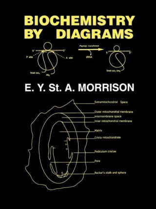 Könyv Biochemistry by Diagrams Errol Y. St. A. Morrison