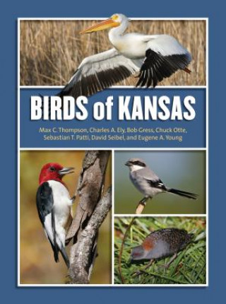 Kniha Birds of Kansas Chuck Otte