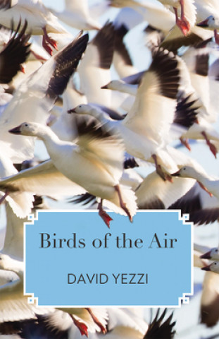 Libro Birds of the Air David Yezzi