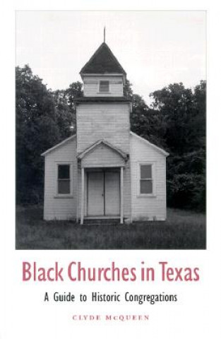 Könyv Black Churches in Texas Clyde McQueen