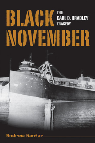 Livre Black November Andrew Kantar